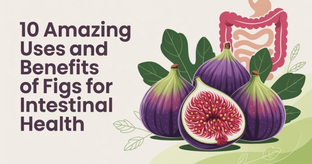 10 Amazing Uses and Benefits of Figs for Intestinal Health